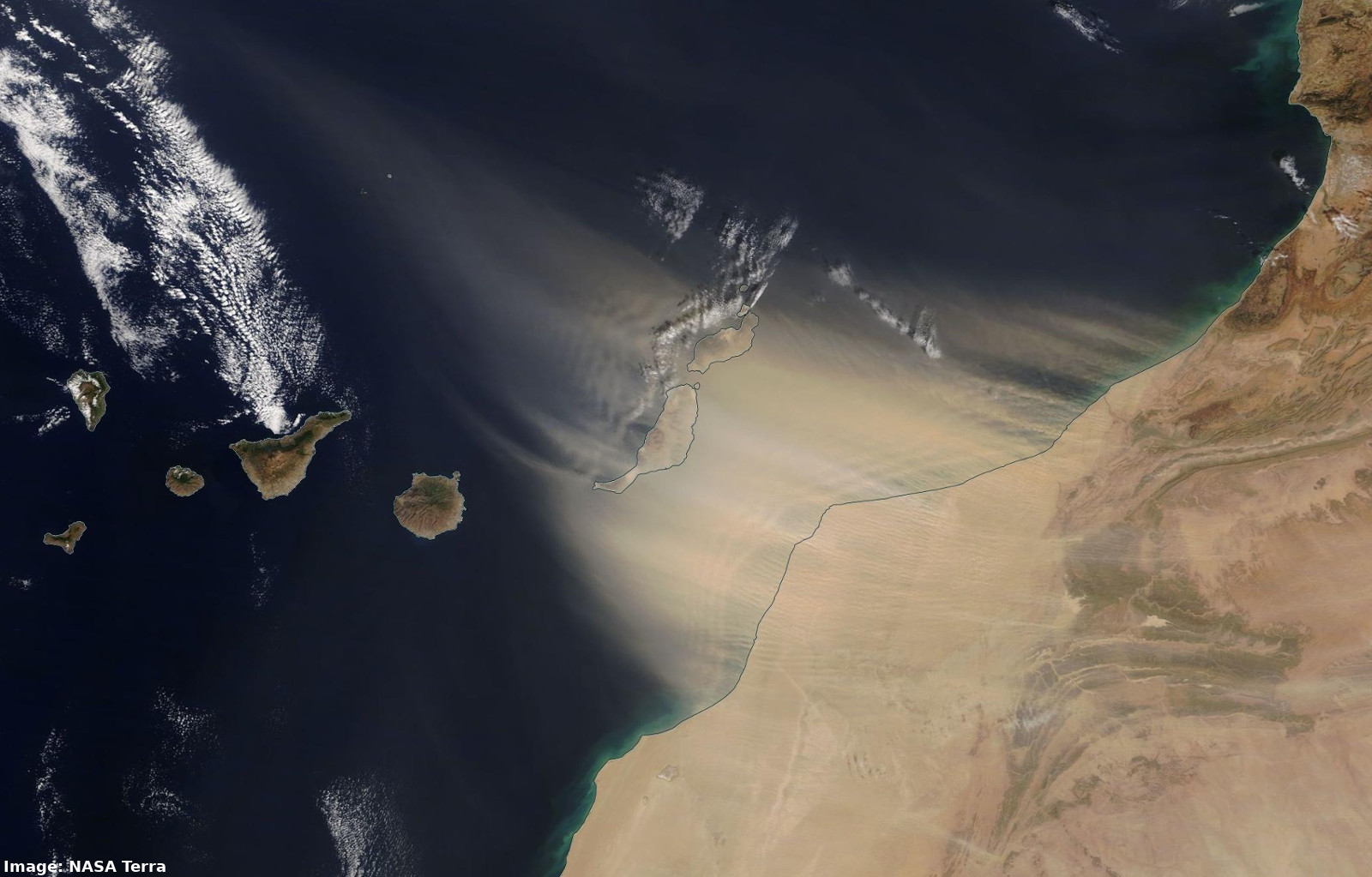 20200222_terra_dust_canaries_label