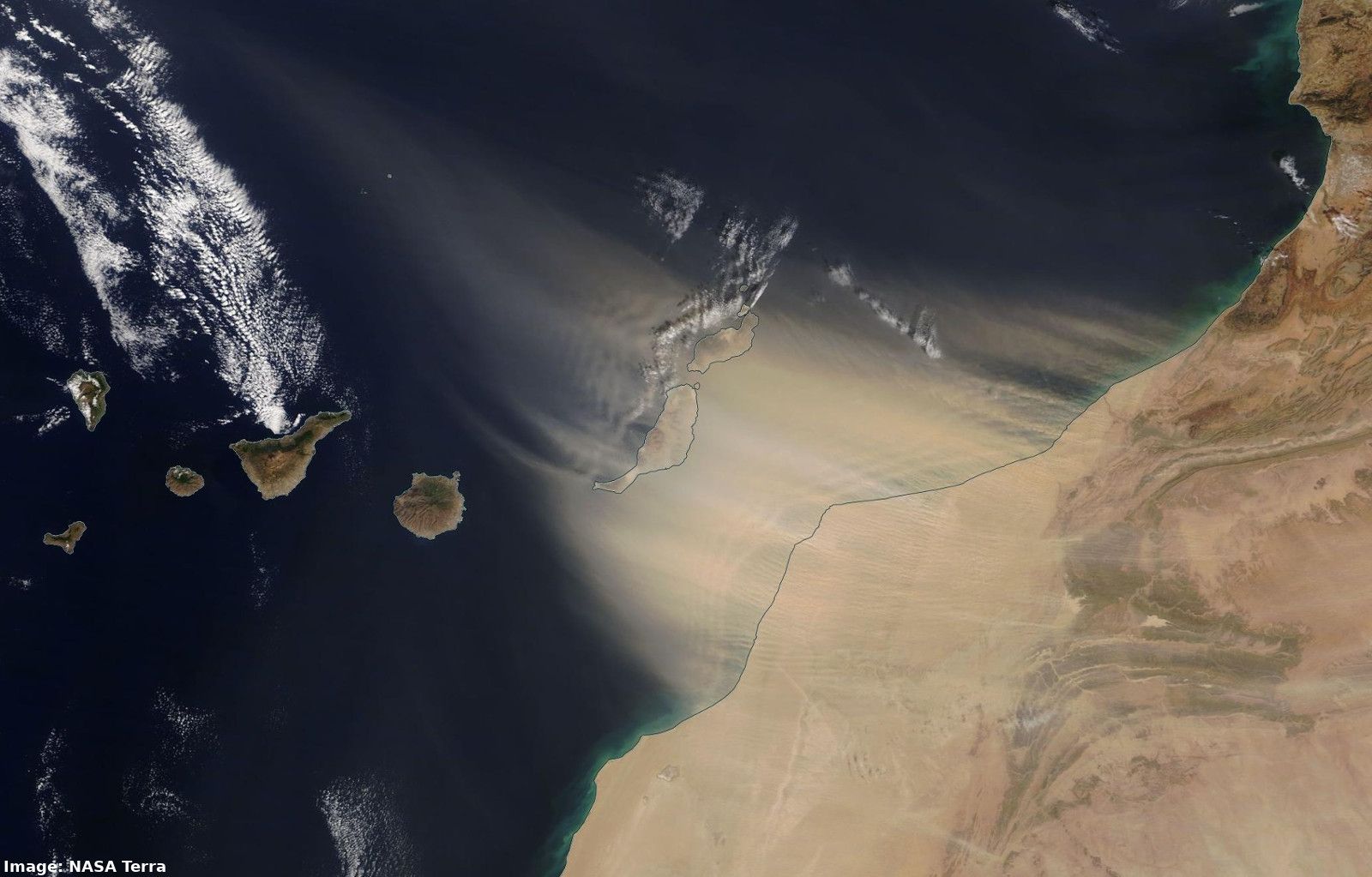 20200222_terra_dust_canaries_label
