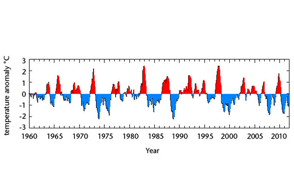 600x400-enso-noshadow