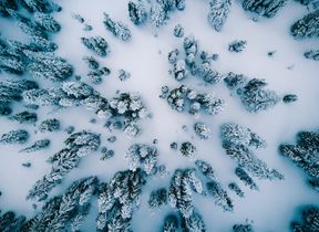 aerial-view-of-snowy-forest-photo-jared-rice