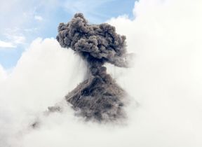 caitlin-wynne-4d953r0aruo-unsplash