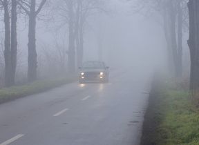 car-driving-in-fog