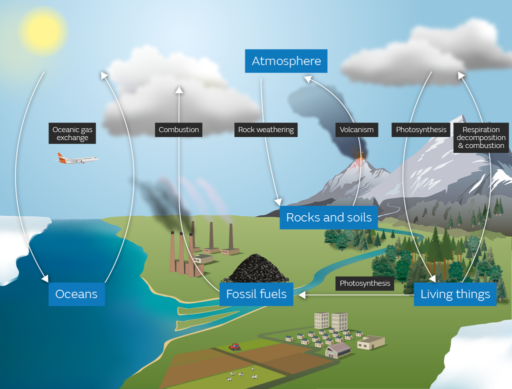 carbon-cycle-diagram-v2-02