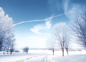 clear-skies-and-snow-covered-fields