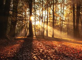 erik-witsoe-366893-unsplash