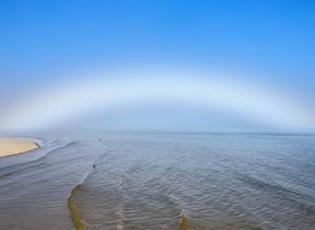 fogbow