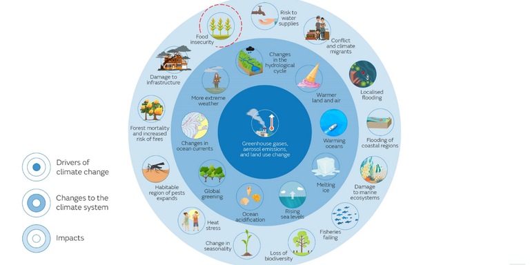 food-farning-blog-image-1