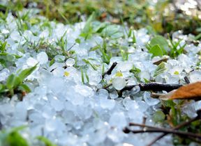 hail-lying-on-the-ground