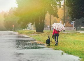 lady-walking-dog-in-the-rain
