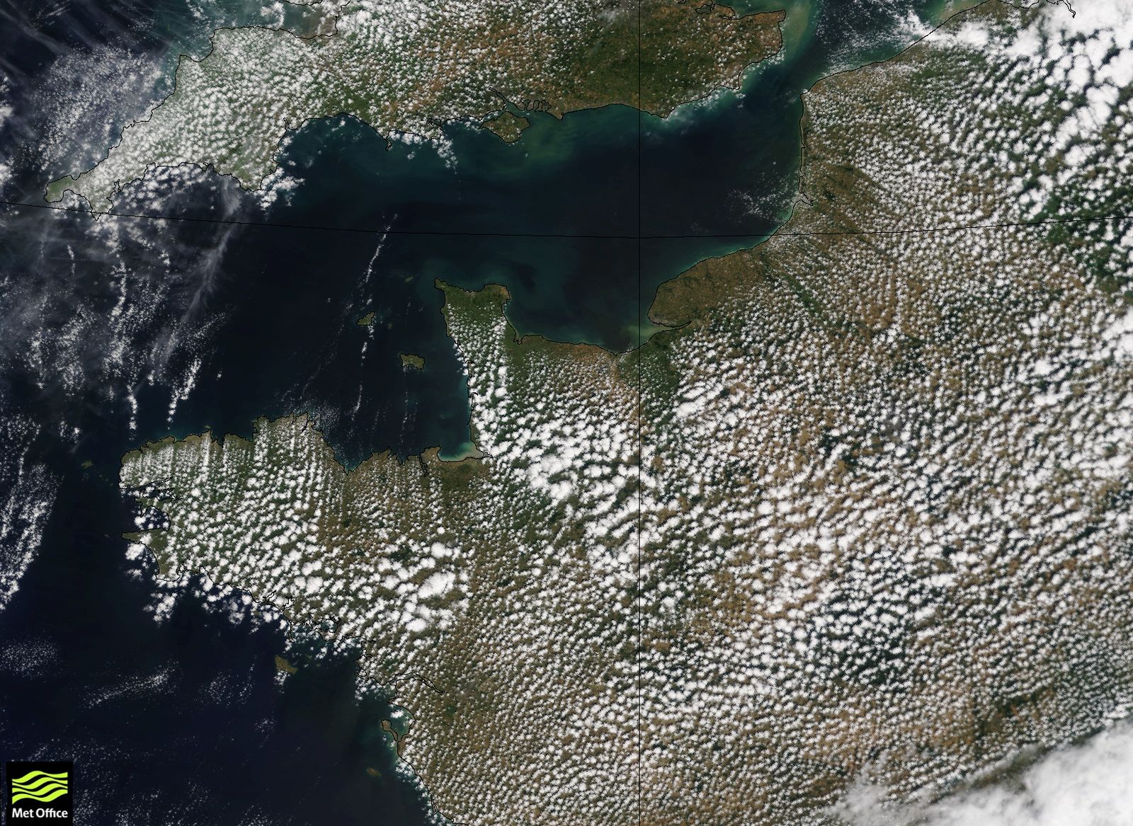 leea37_20160809_1111_local_terra_1