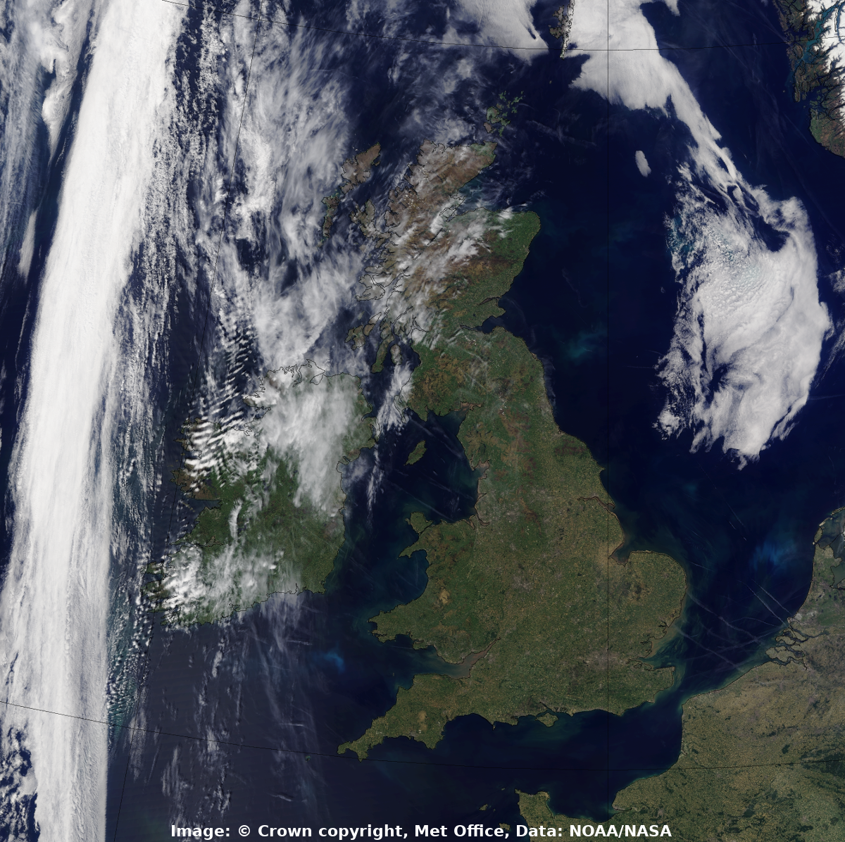 leea37_20200529_1258_local_n20_crop_label