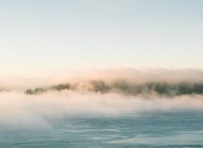 mist-over-a-lake-shore