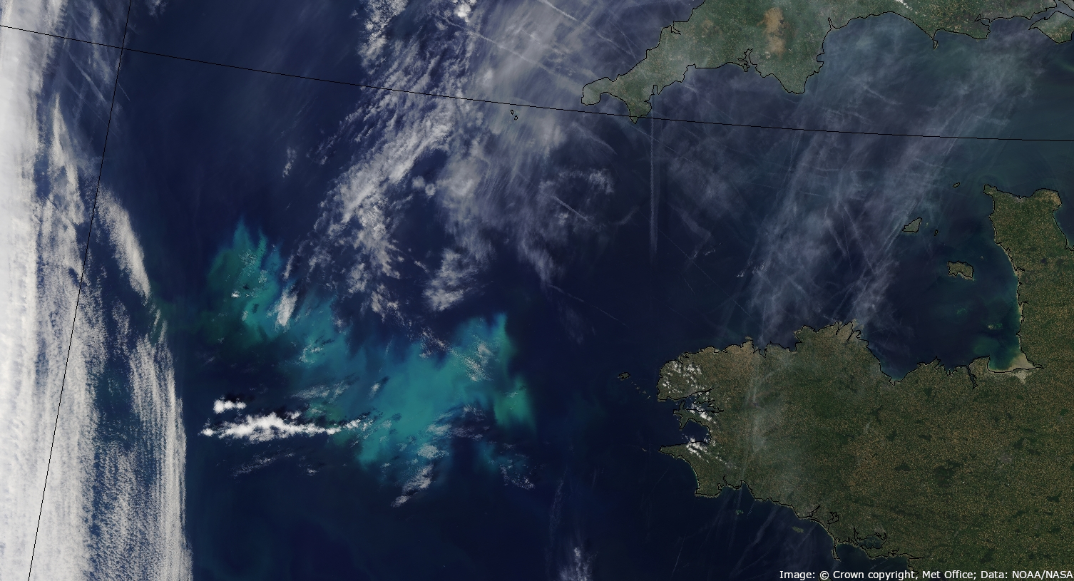 noaa21_202405111436_plankton