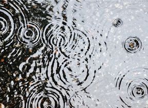 rain-falling-into-a-puddle-causing-ripples