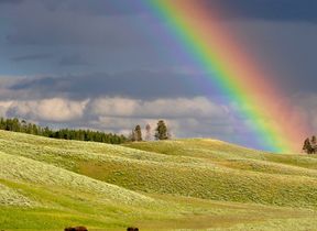 rainbow-over-the-yellowstone-landscape-in-wyoming