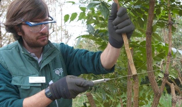 rhs-pruning_pub0026427