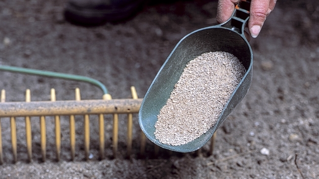 rhs_applying-fertiliser-pub0000130