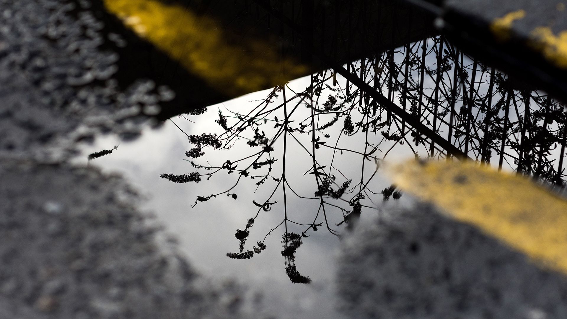 scotland-puddle-reflection
