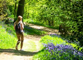 shutterstock_1652513884