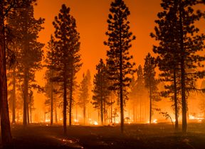 shutterstock_1798609360