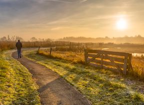 shutterstock_758199286-1