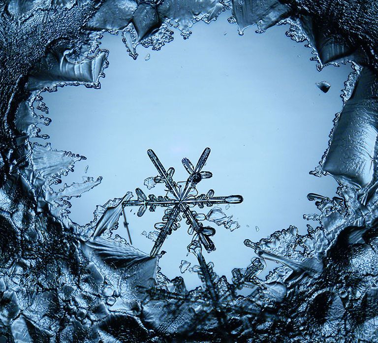 snowflake_individual