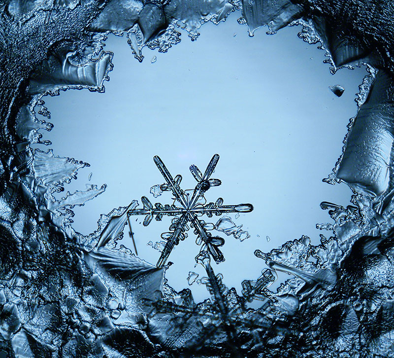 snowflake_individual