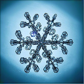 snowflakes_-_dendrite