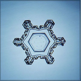 snowflakes_-_sector_plate