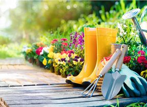 spring-summer-gardening-sunny
