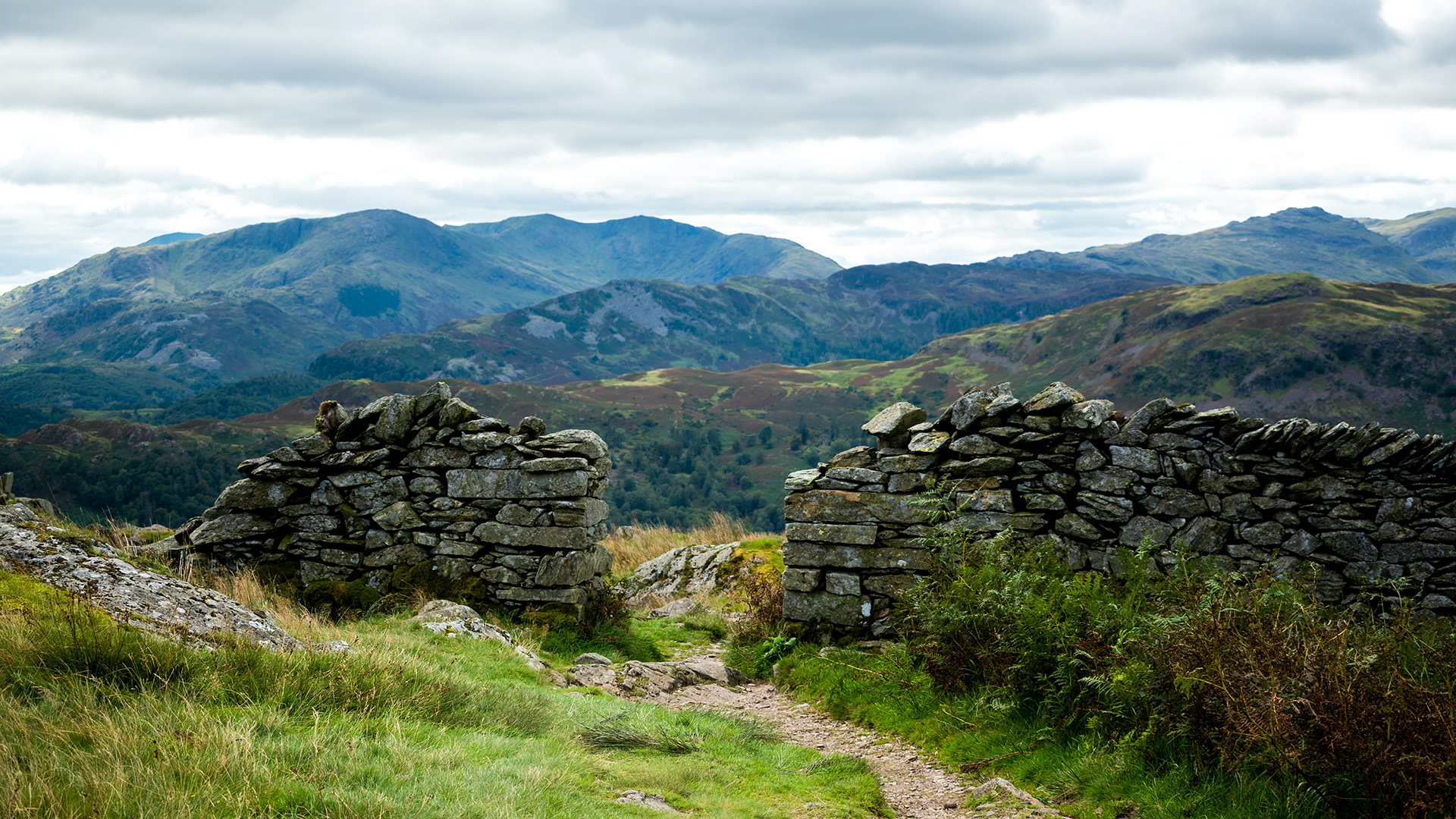 summerish-bright-but-overcast-sc