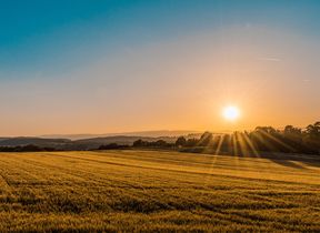 sun-setting-over-a-golden-field