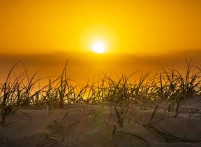 view-of-setting-sun-from-sand-dunes