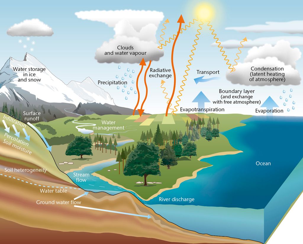 water-cycle-diagram