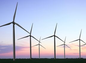 wind-turbines-in-a-field