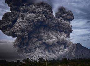 yosh-ginsu-qexzlgmcbpc-unsplash-min