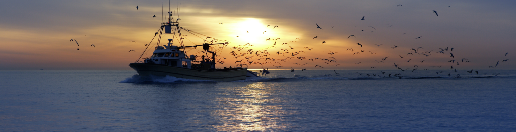 Fishing boat in the evening