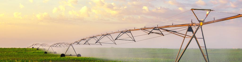 An agricultural irrigation system watering a corn field on a sunny summer day.