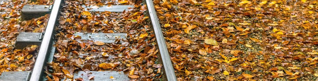 Railway tracks covered with autumn leaves