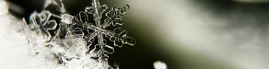 Snow flake close up. Photo Aaron Burden