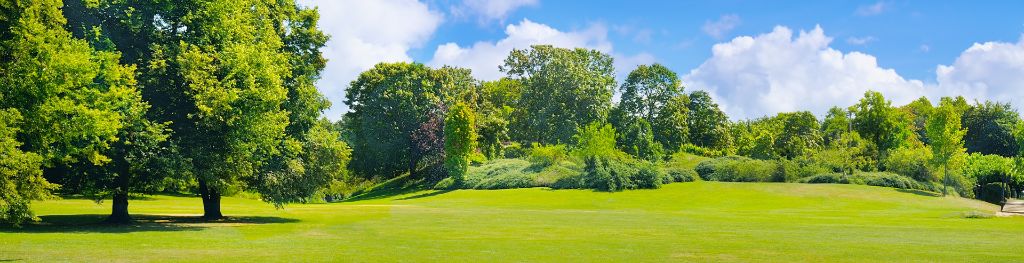 A green park, with flat green lawns in the foreground, giving way to green trees in the background, with a sunny, blue sky and a few clouds around the horizon.