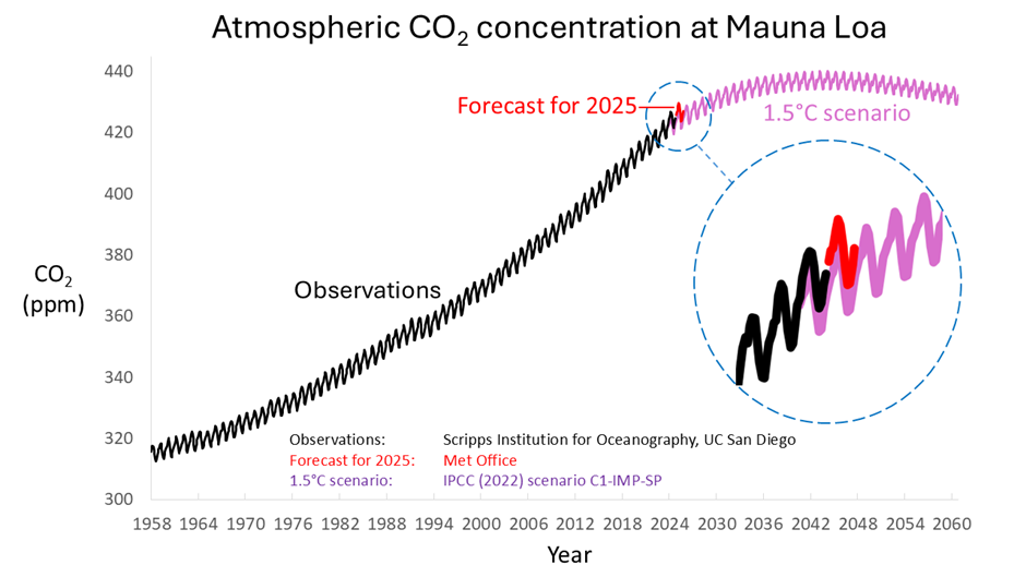 carbon dioxide concentration at Mauna Loa with 1.5C pathway