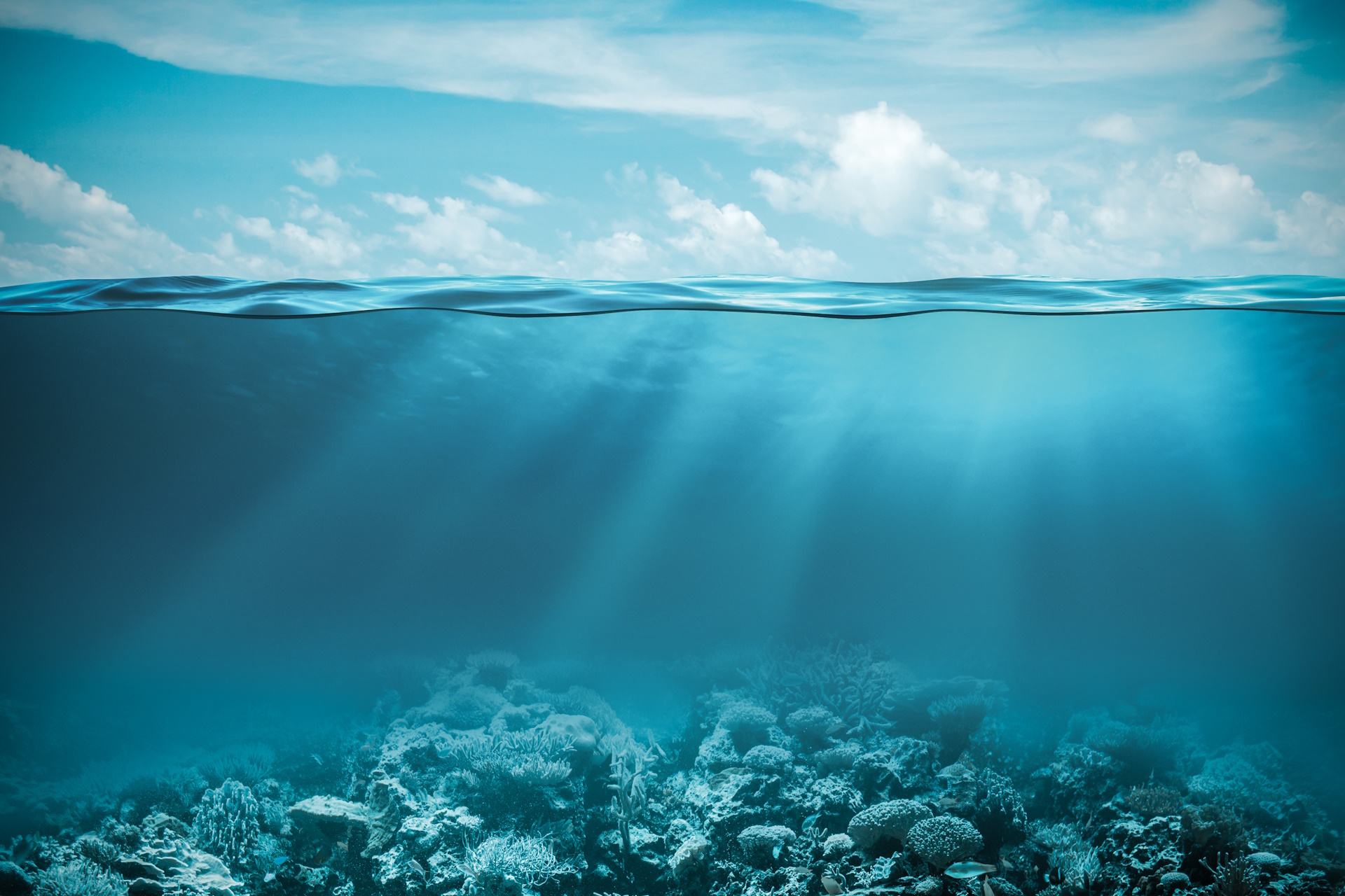 Photo half in the ocean with coral reef at the bed and some sky above the water line with clouds and the sun.