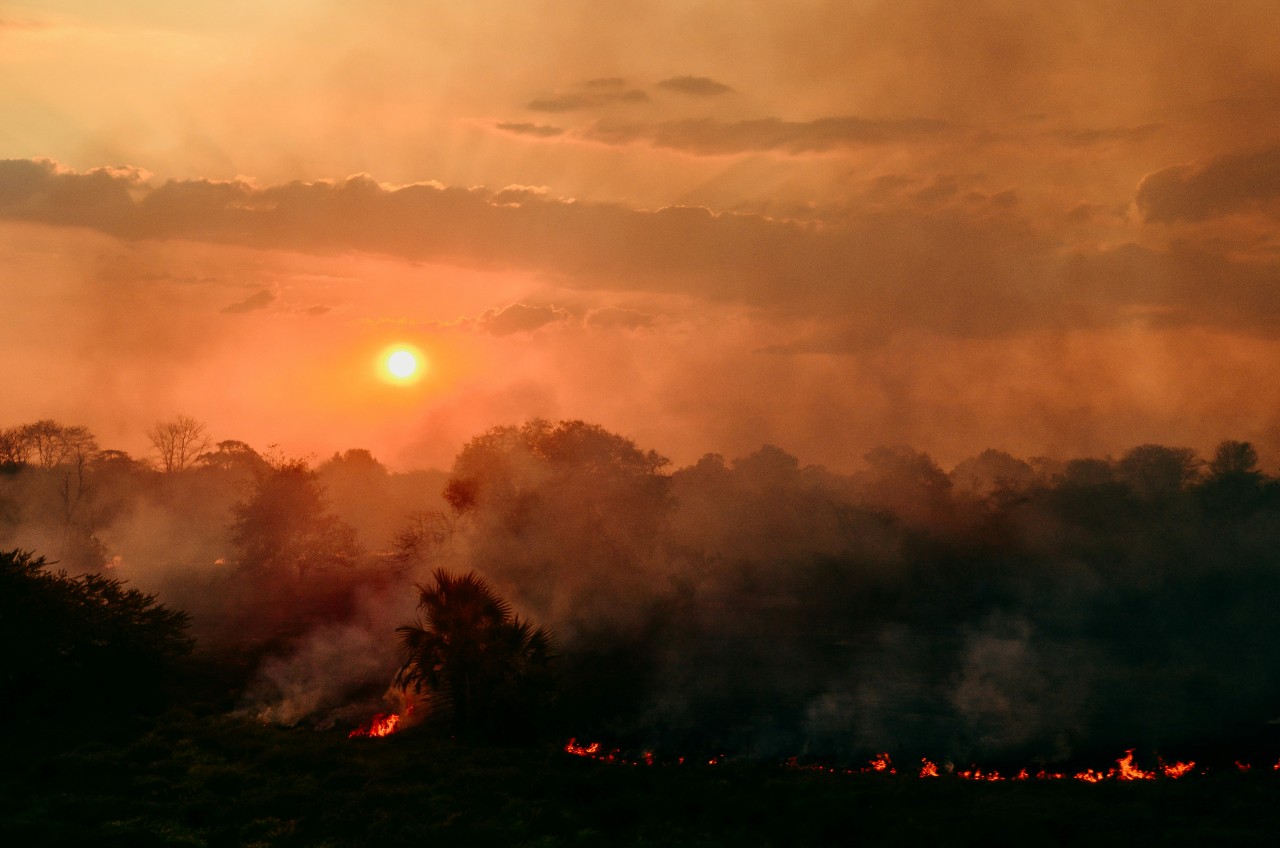 Hazy orange wildfire with a setting sun behind the smoke.