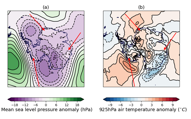 Near-surface Antarctic weather conditions for April-May 2024 relative to the 1981-2010 long-term average: (a) mean sea level pressure anomaly (hPa); (b) 925 hPa air temperature anomaly (°C). Data are from the ERA5 reanalysis (Hersbach et al., 2017). The main areas of warm air movement are indicated with red arrows.