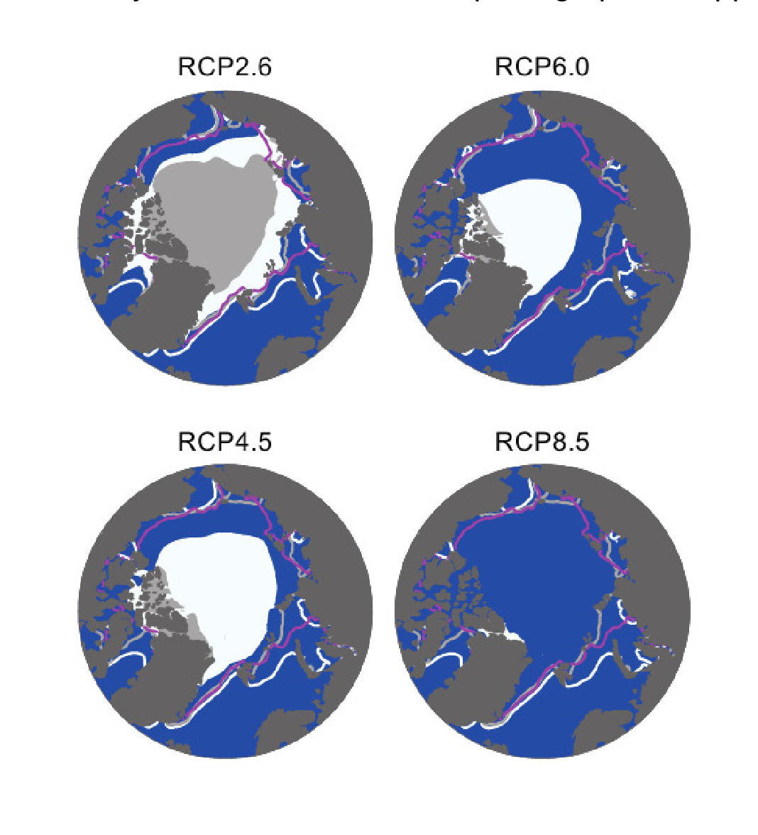 The spatial pattern of September Arctic sea ice extent projected by IPCC AR5 models for the four RCP scenarios over the period 2081-2100.