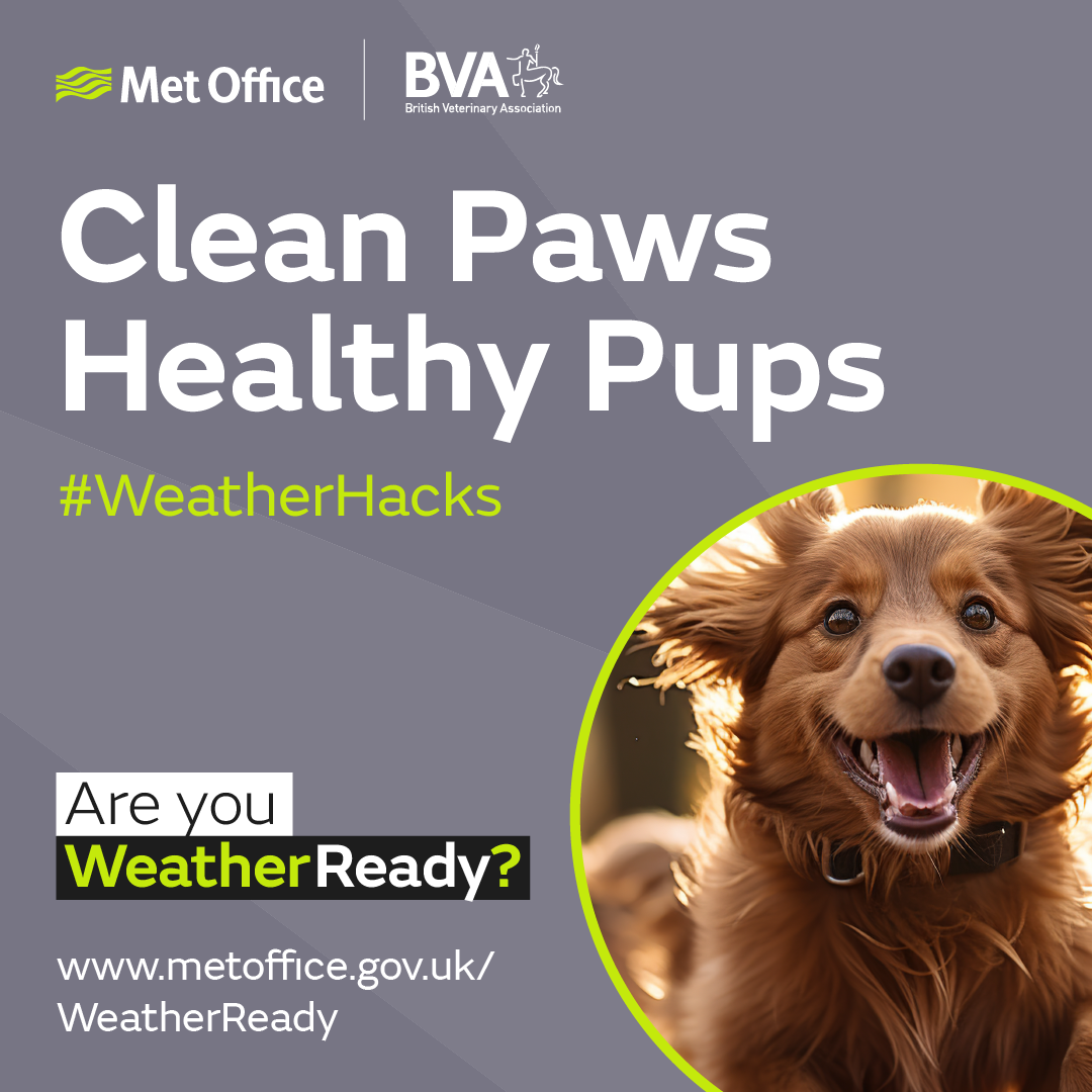 Met Office - BVA - Clean paws, healthy pups. The image shows a happy dog.