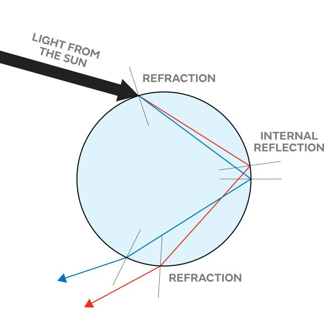 Illustration showing how a path of light travels through a droplet. Light from the sun enters the droplet, where it is refracted, then reflects from the back of the droplet, refracting again as it exits the droplet.